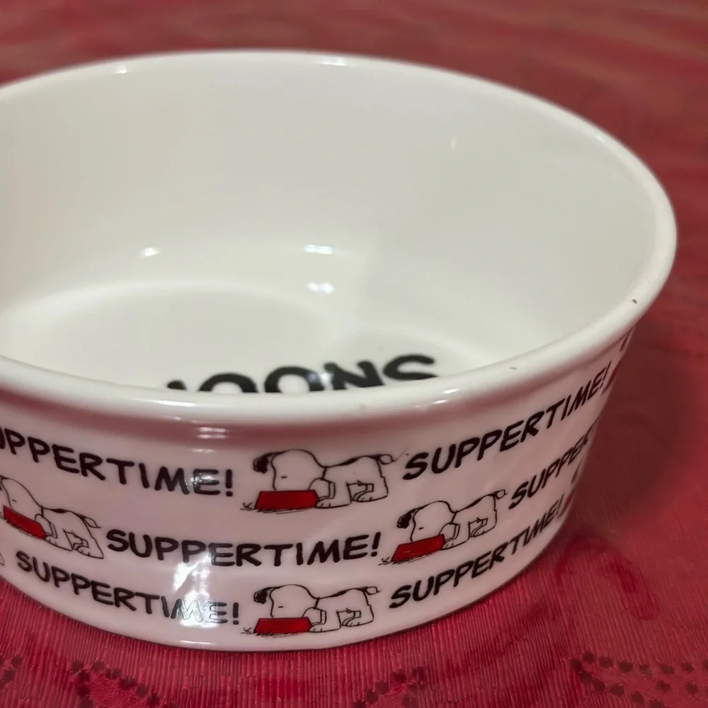 Peanuts Snoopy Pet Bowl collection